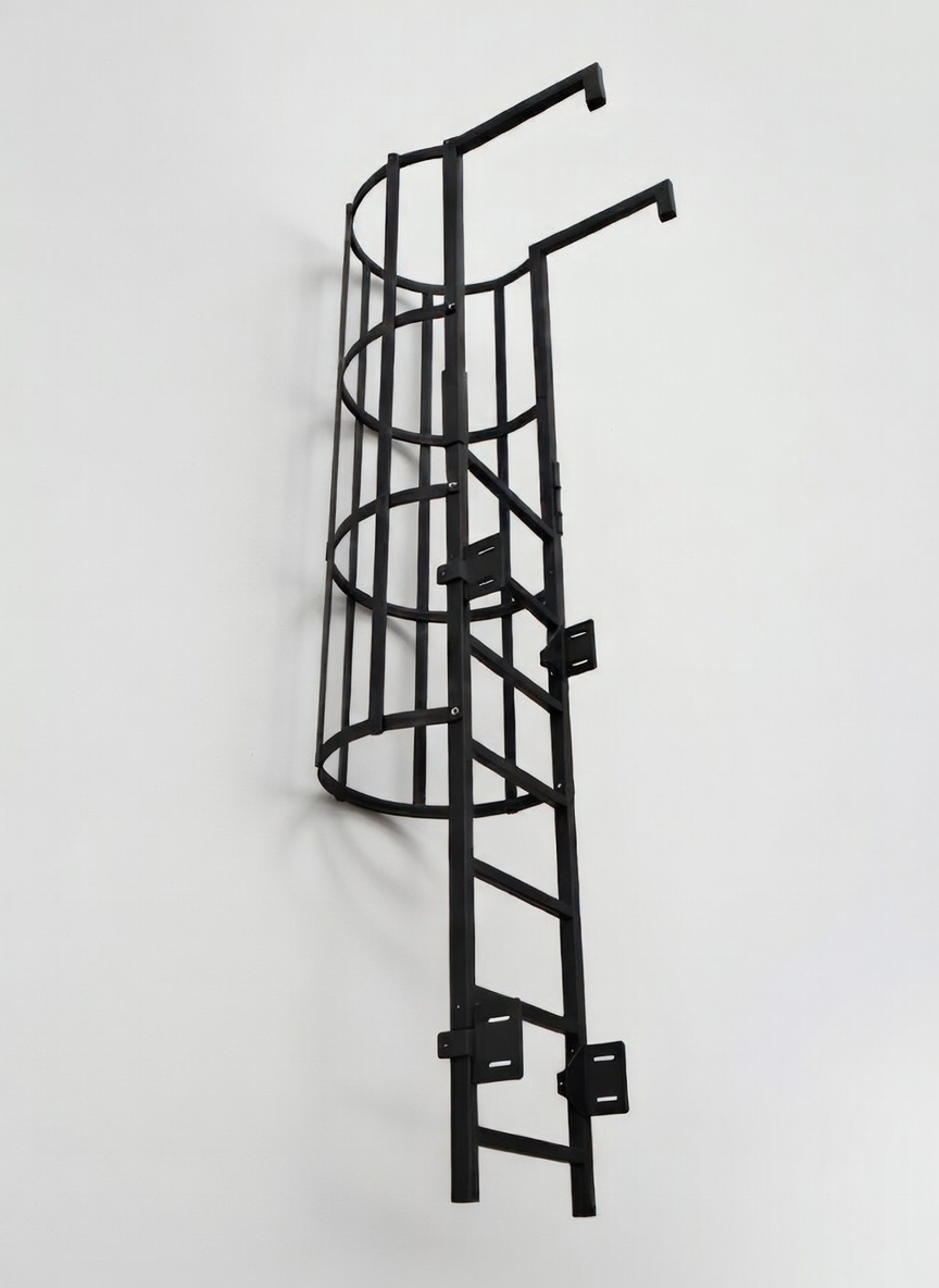 Drabina pionowa z koszem ochronnym